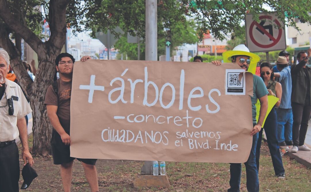 Diversos grupos se manifestaron contra la tala de árboles, mientras que otros crearon peticiones en plataformas como Change.org para recabar firmas que exijan el respeto al poco patrimonio ecológico. Fotos: de Francisco Rodríguez