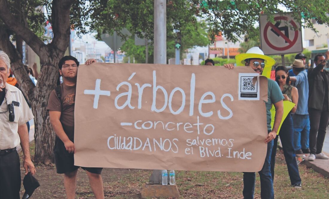 Diversos grupos se manifestaron contra la tala de árboles, mientras que otros crearon peticiones en plataformas como Change.org para recabar firmas que exijan el respeto al poco patrimonio ecológico. Fotos: de Francisco Rodríguez