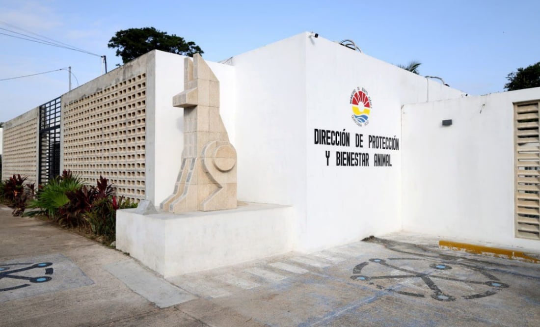 Activistas denuncian matanza de perros y gatos en Centro de Bienestar Animal en Cancún, Quintana Roo (08/11/2025). Foto: Tomada de Facebook