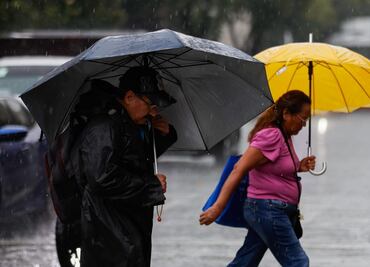 Alerta amarilla en la capital por rachas de viento; autoridades piden extremar precauciones en 7 alcaldías