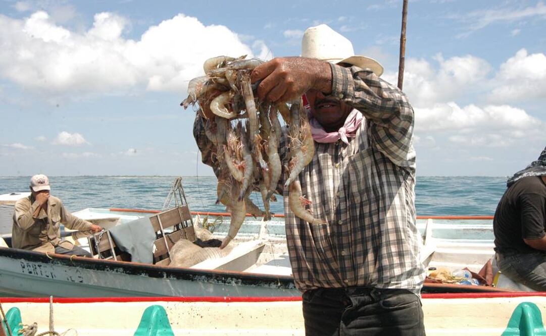 Foto: Archivo EL UNIVERSAL