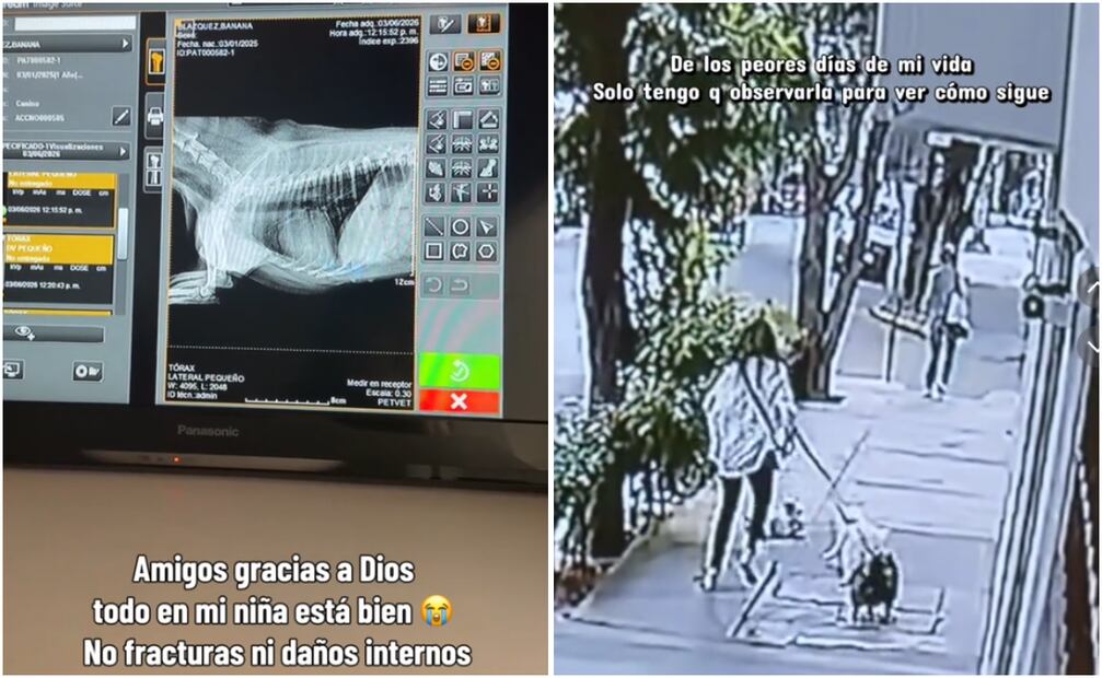 Foto: Captura de pantalla TikTok