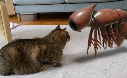 Crustáceos y artrópodos en cualquier parte de tu casa con Google Arts & Culture