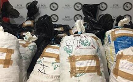 Aseguran 800 kilogramos de pepino de mar en Progreso, Yucatán