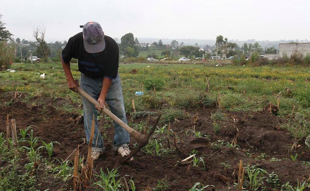 México atrae 13 acciones de ONU para combatir la pobreza