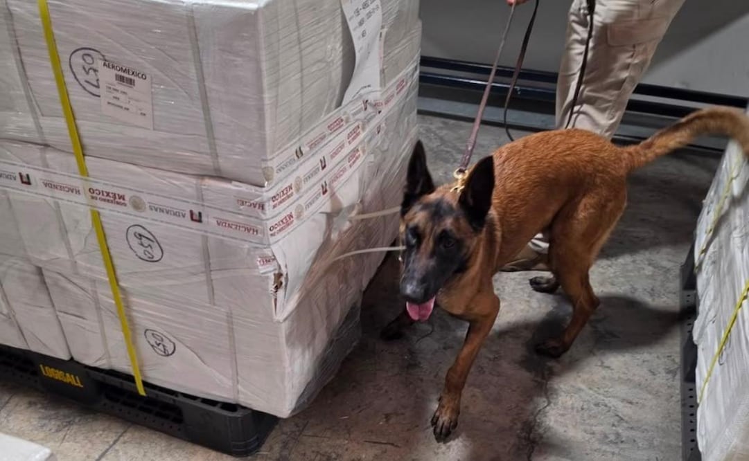 Aseguran 3 millones de cigarros ilícitos en el AICM (02/08/2026). Foto: X @GabSeguridadMX