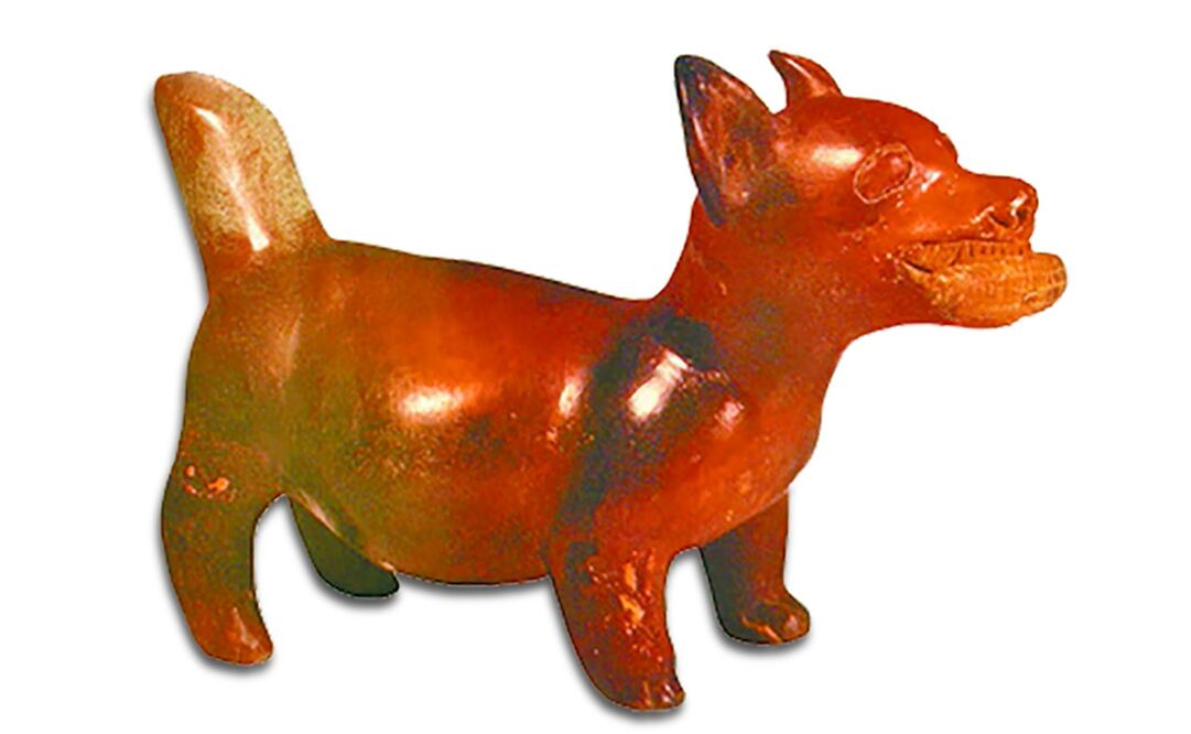 Figura de cerámica de un perro pelón o xoloitzcuintle. Foto: ESPECIAL