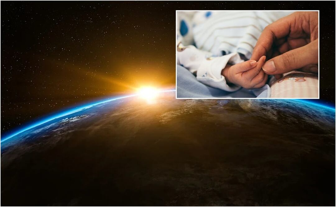 Spaceborn United trabaja en primer lugar en la concepción de un embrión. Foto: Pixabay