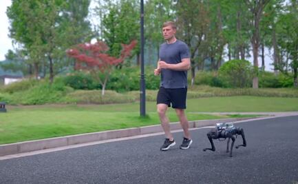 Conoce el perro robot que te sigue a todos lados y carga tu agua