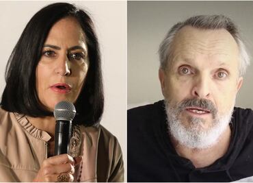 Lía Limón se dice extrañada por robo a casa de Miguel Bosé: zona "tiene mucha seguridad"