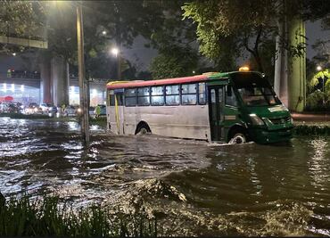 Lluvias provocan caída de árboles y cortos circuitos en CDMX; bomberos atienden 65 encharcamientos
