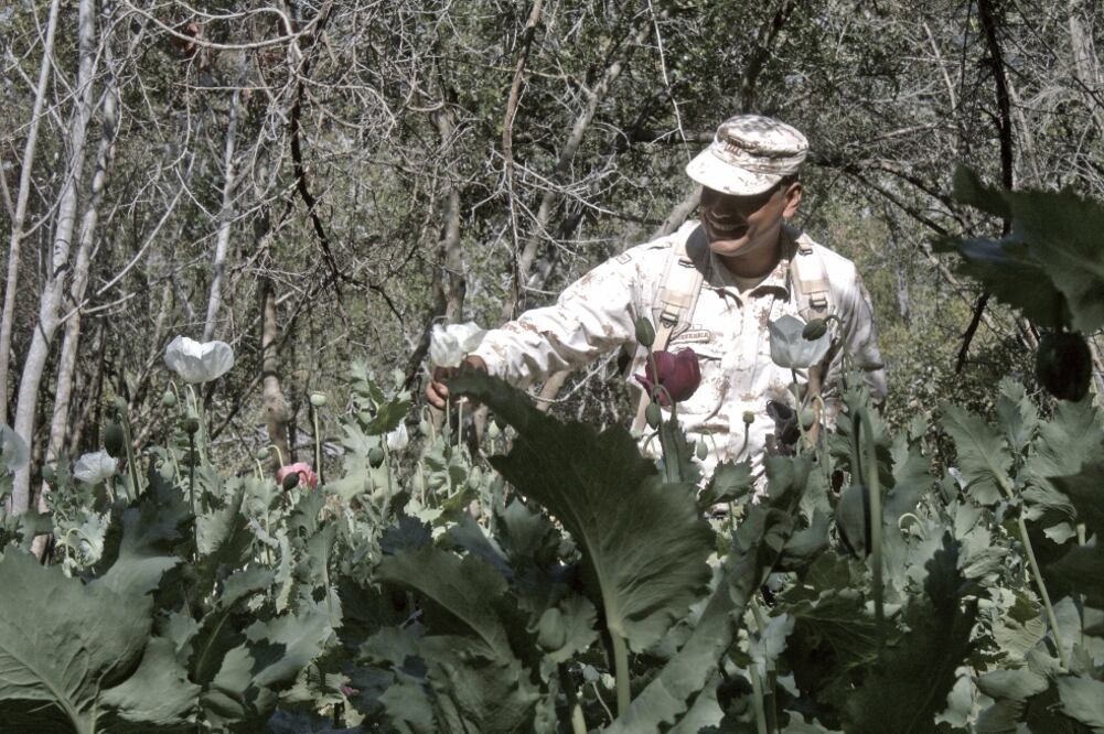 Las dos principales pistas para hallar un plantío son: un punto donde haya un ojo de agua, que permita regar la siembra, y encontrar veredas en caminos aparentemente no usados e inhabitados, explica un militar. (FOTOS: GABRIELA MARTÍNEZ. EL UNIVERSAL)