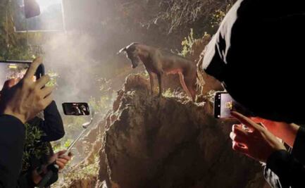  Con un celular, filman cortometraje 