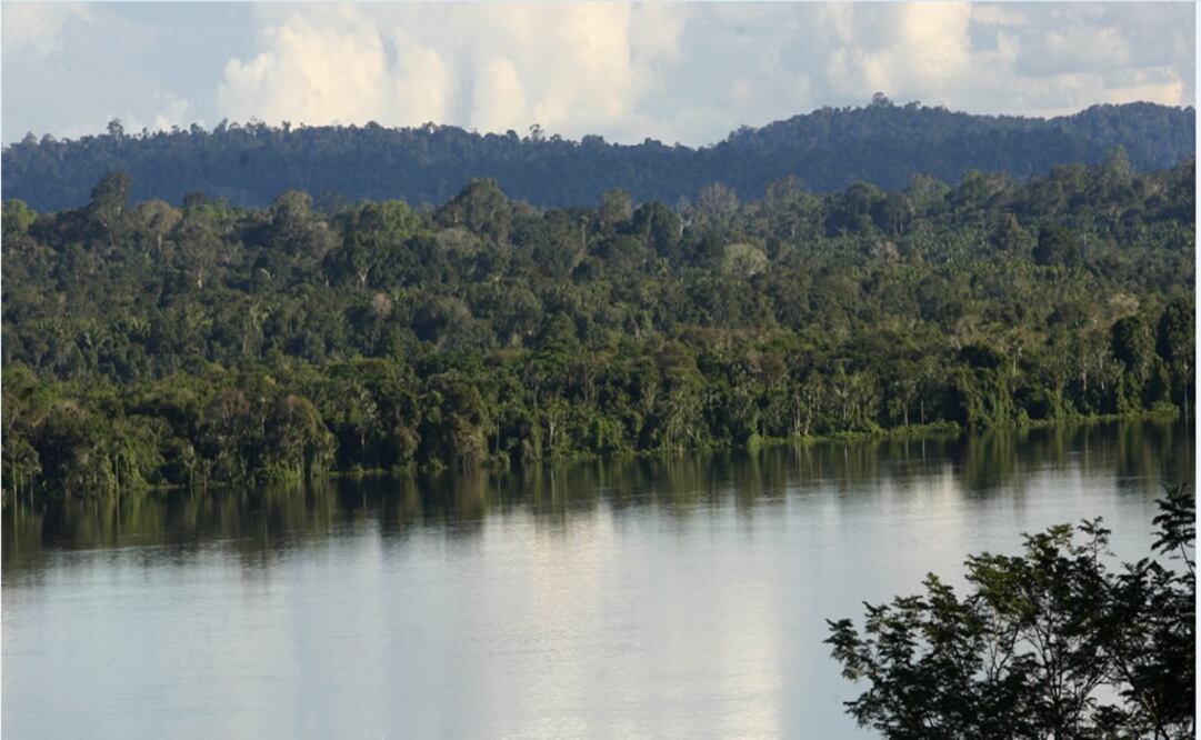 River in the northern state of Para, Brazil - Photo: Andre Penner/AP
