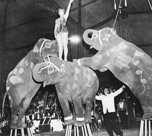 El niño que creció junto a los animales de un circo