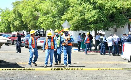 Un pajarito provoca cortocircuito que electrocutó a 8 trabajadores en Sonora