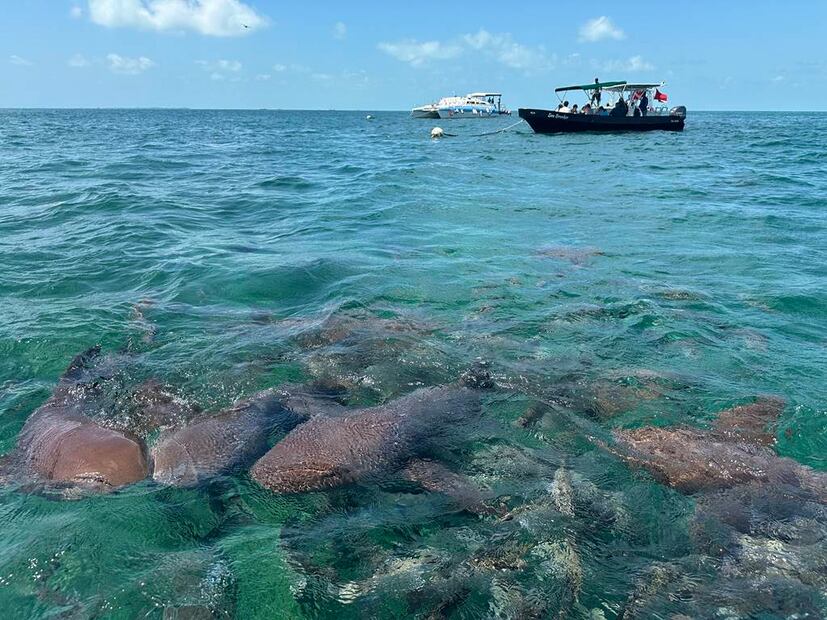 Foto: Omar Moreno. El Universal