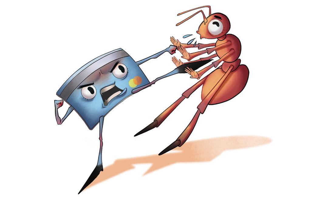 Ilustración: Liliana Pedraza