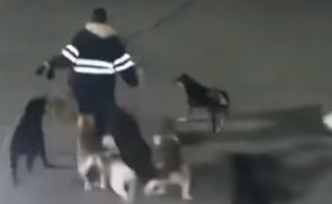 Fotografía: Especial