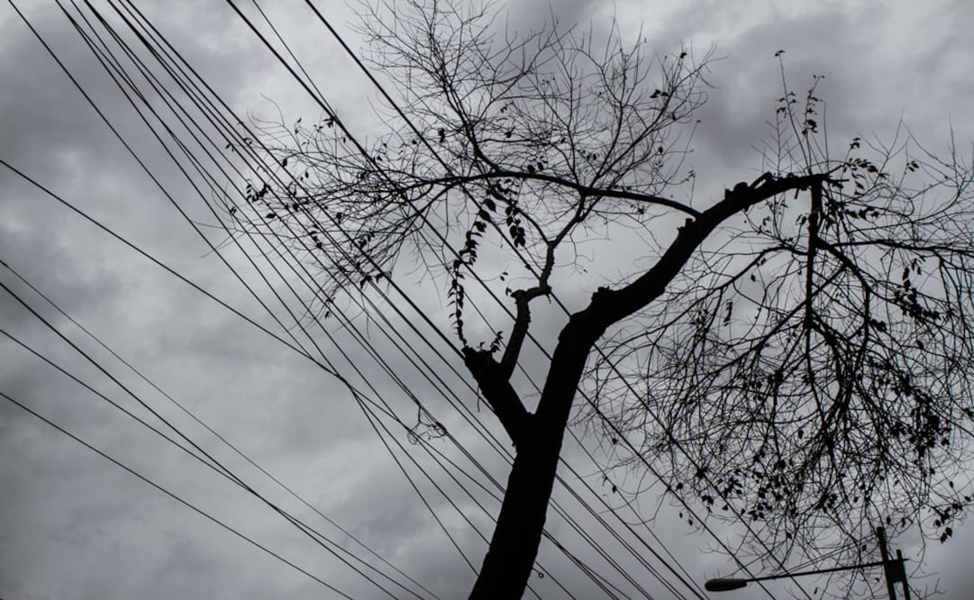 Foto: Archivo/ Cuartoscuro               