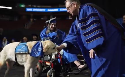 ¡Ah perro! Lomito guía recibe diploma universitario por asistir a todas las clases junto a su dueña