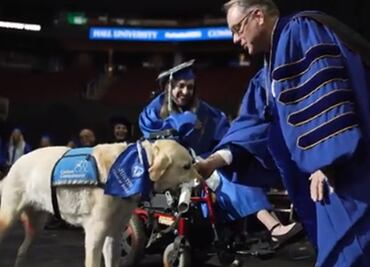 ¡Ah perro! Lomito guía recibe diploma universitario por asistir a todas las clases junto a su dueña