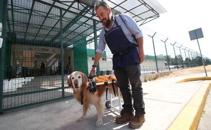 Agoniza Hospital Veterinario de CDMX por falta de recursos