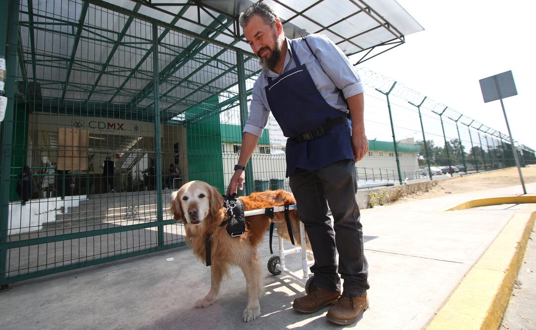 Desde hace un mes, el Hospital Veterinario de la Ciudad de México no tiene servicio de farmacia ni de cirugía, sólo aplica la vacuna contra la rabia y receta tratamiento. CARLOS MEJÍA. EL UNIVERSAL