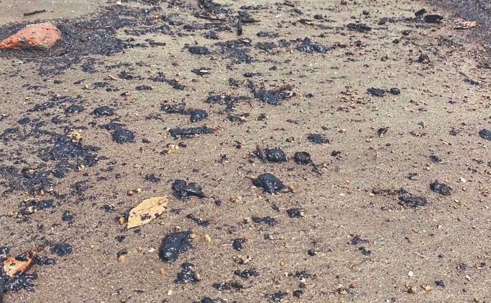 Desde el martes, la playa y el área de pesca amanecieron con manchas negras. Foto: Especial