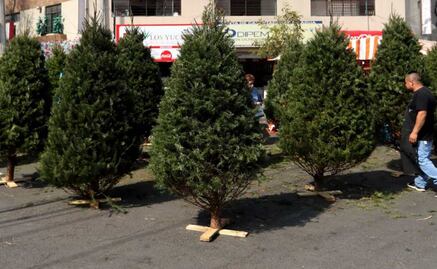 ¡Recicla tu árbol de Navidad en CDMX!; así puedes participar y poder llevarte a cambio una planta ornamental