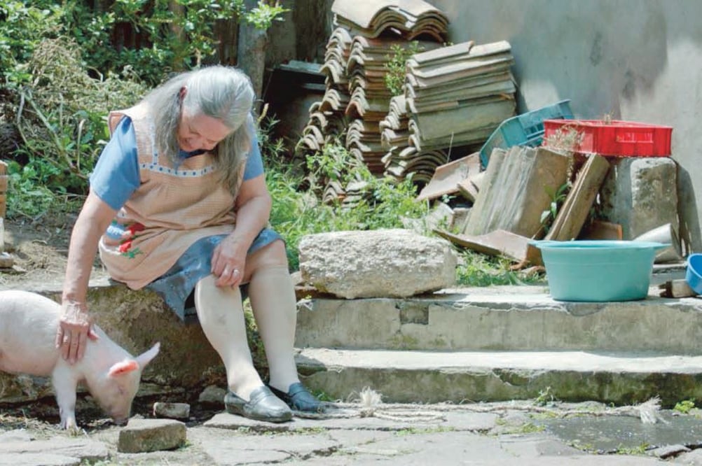 Una cerdita le devuelve las ganas de vivir a una anciana de pueblo. (CORTESÍA)