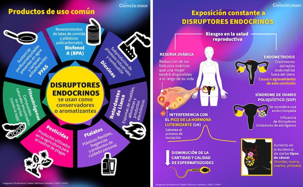 Foto: Captura de pantalla en  UNAM