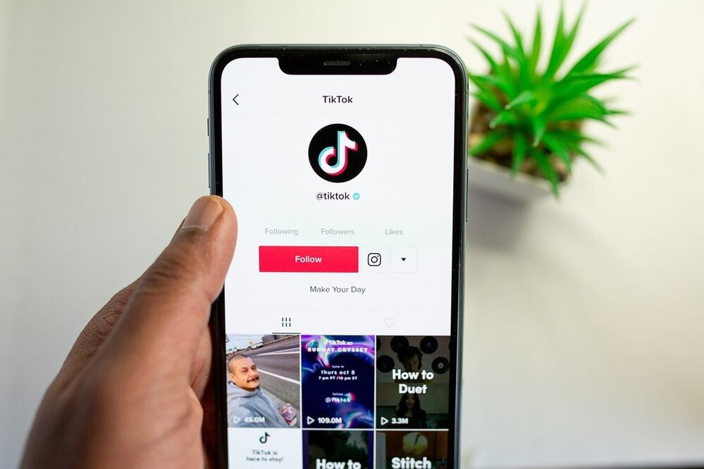  TikTok es una red social de origen chino / Foto: Pixabay 