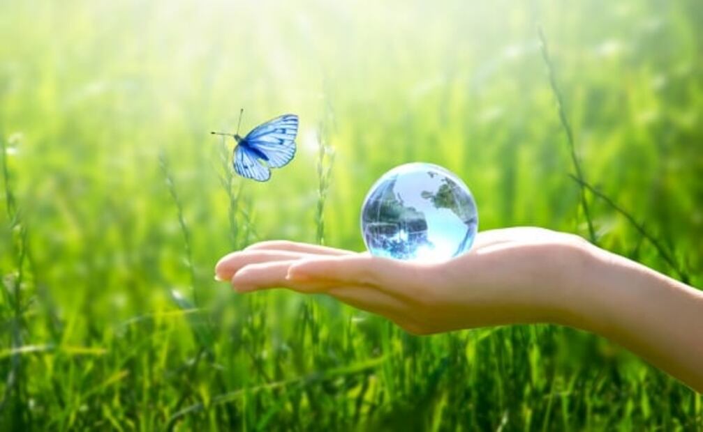 Estas son las empresas mexicanas comprometidas con el medio ambiente