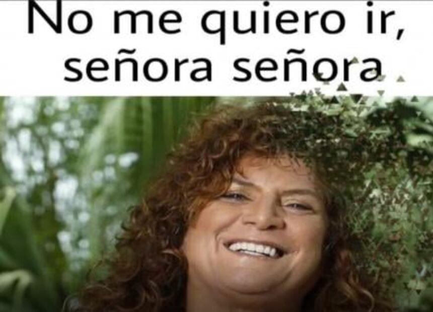 Celebran con memes el Día de las Madres en internet