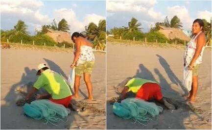 Captan a pareja saqueando nido de tortuga golfina, especie en peligro, en Chiapas