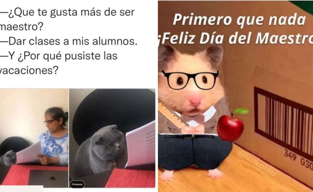 Foto: Captura d epantalla en X