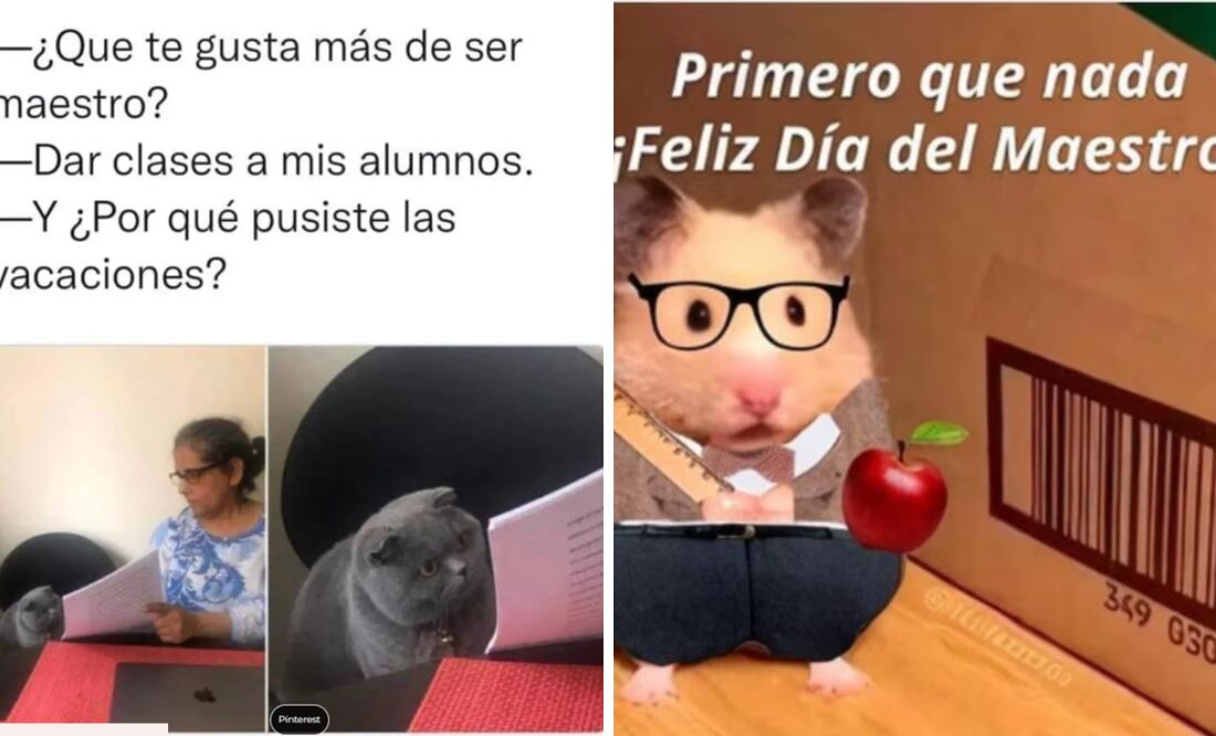 Foto: Captura d epantalla en X