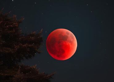 Lo mejor del cielo en 2025; estos serán algunos fenómenos astronómicos que se podrán observar el próximo año