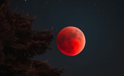 Lo mejor del cielo en 2025; estos serán algunos fenómenos astronómicos que se podrán observar el próximo año 