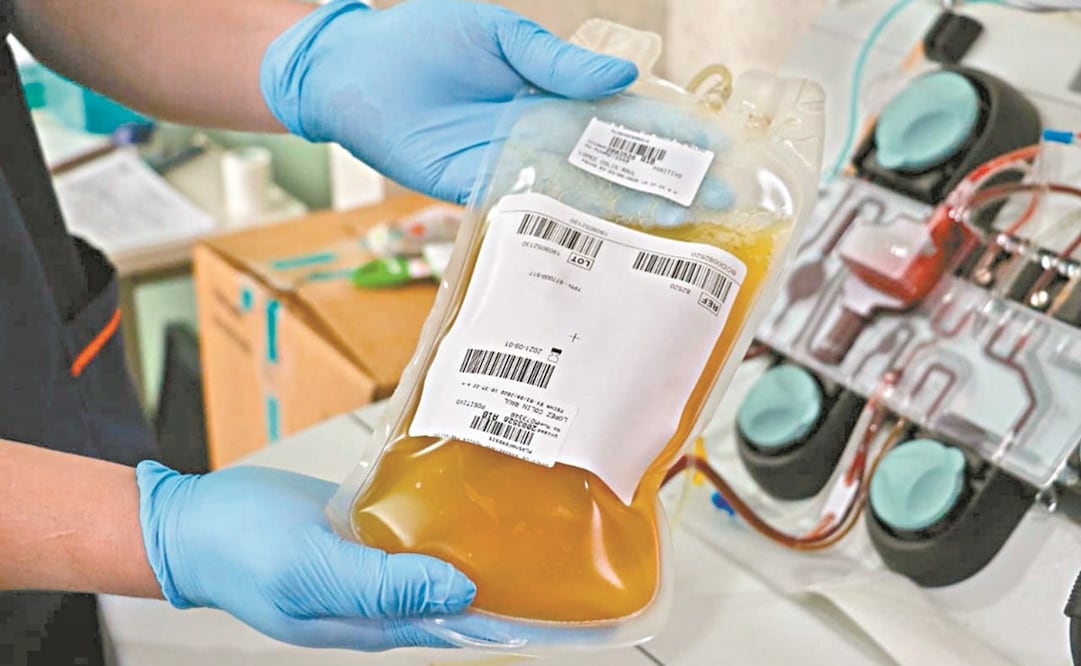 El Instituto Mexicano del Seguro Social dio a conocer los requisitos para donar. Foto: EL UNIVERSAL