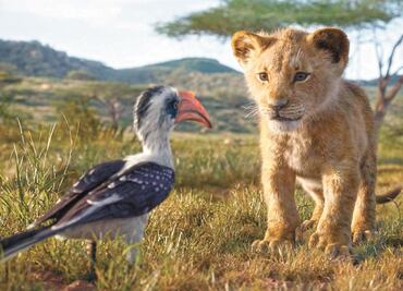 "Rey León" siempre será actual: Favreu