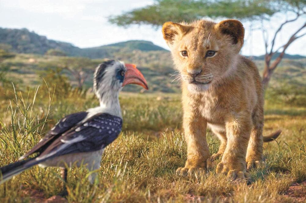 Se narra cómo Simba debe reponerse de la pérdida de su padre. Foto/DISNEY