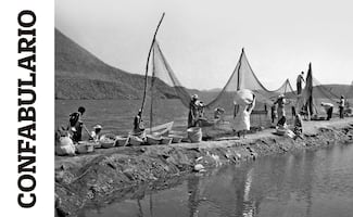 Confabulario; Cine México: La memoria fílmica de un país