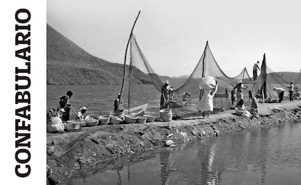 Confabulario; Cine México: La memoria fílmica de un país