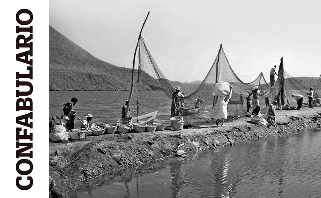 Confabulario; Cine México: La memoria fílmica de un país