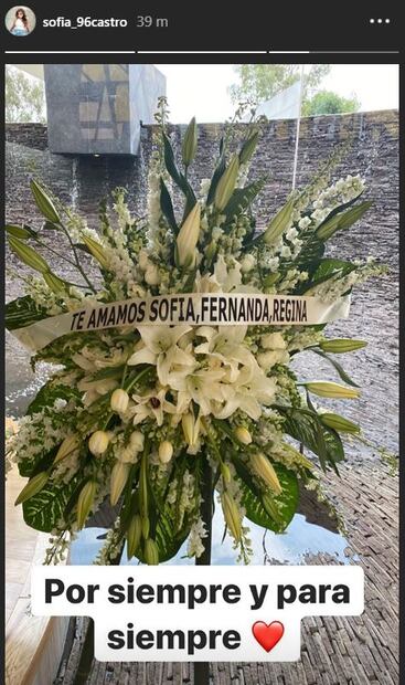 "​​​​​​​En medio de una pandemia perdí a mi abuela", lamenta Sofía Castro