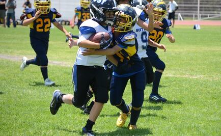 Asambleísta propone prohibir futbol americano a menores de 12 años