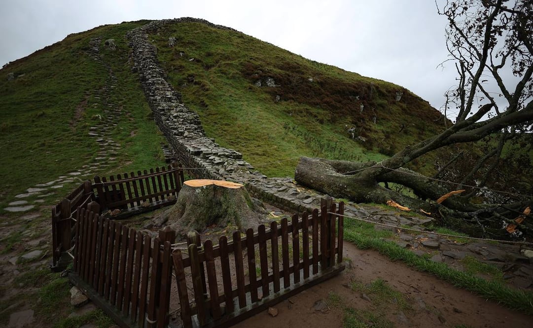 El Sycamore Gap se hizo famoso al aparecer en 1991 en la película protagonizada por Kevin Costner "Robin Hood: Príncipe de los Ladrones". Foto: EFE