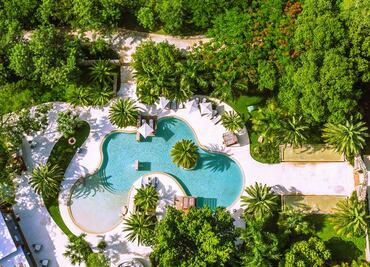 Guía de hoteles y restaurantes para un viaje de lujo en Yucatán